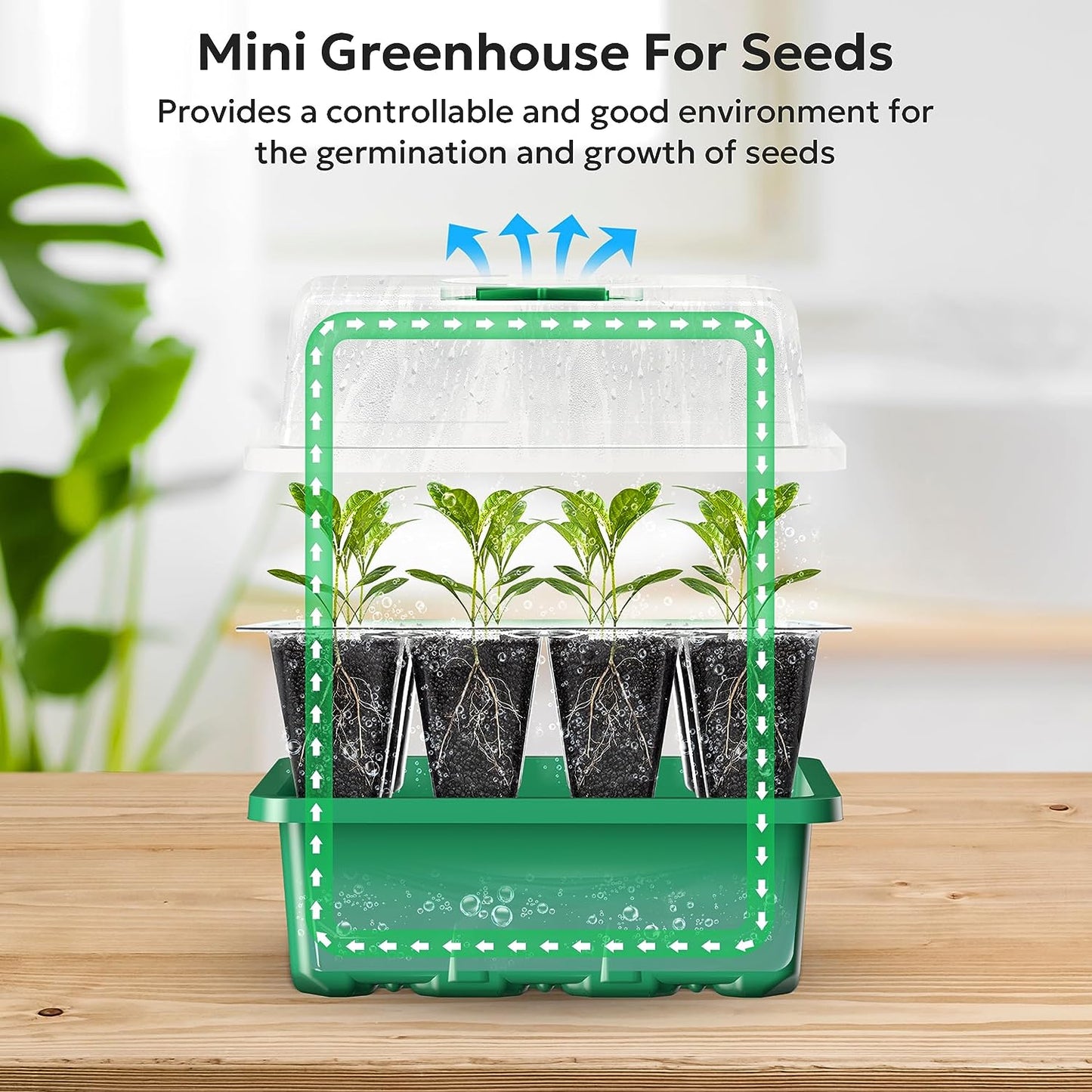10 Packs Seed Starter with Humidity Dome (120 Cells Total Tray) Growing Starting Seed Starting Trays Plant Starter and Base Mini Greenhouse Germination Kit