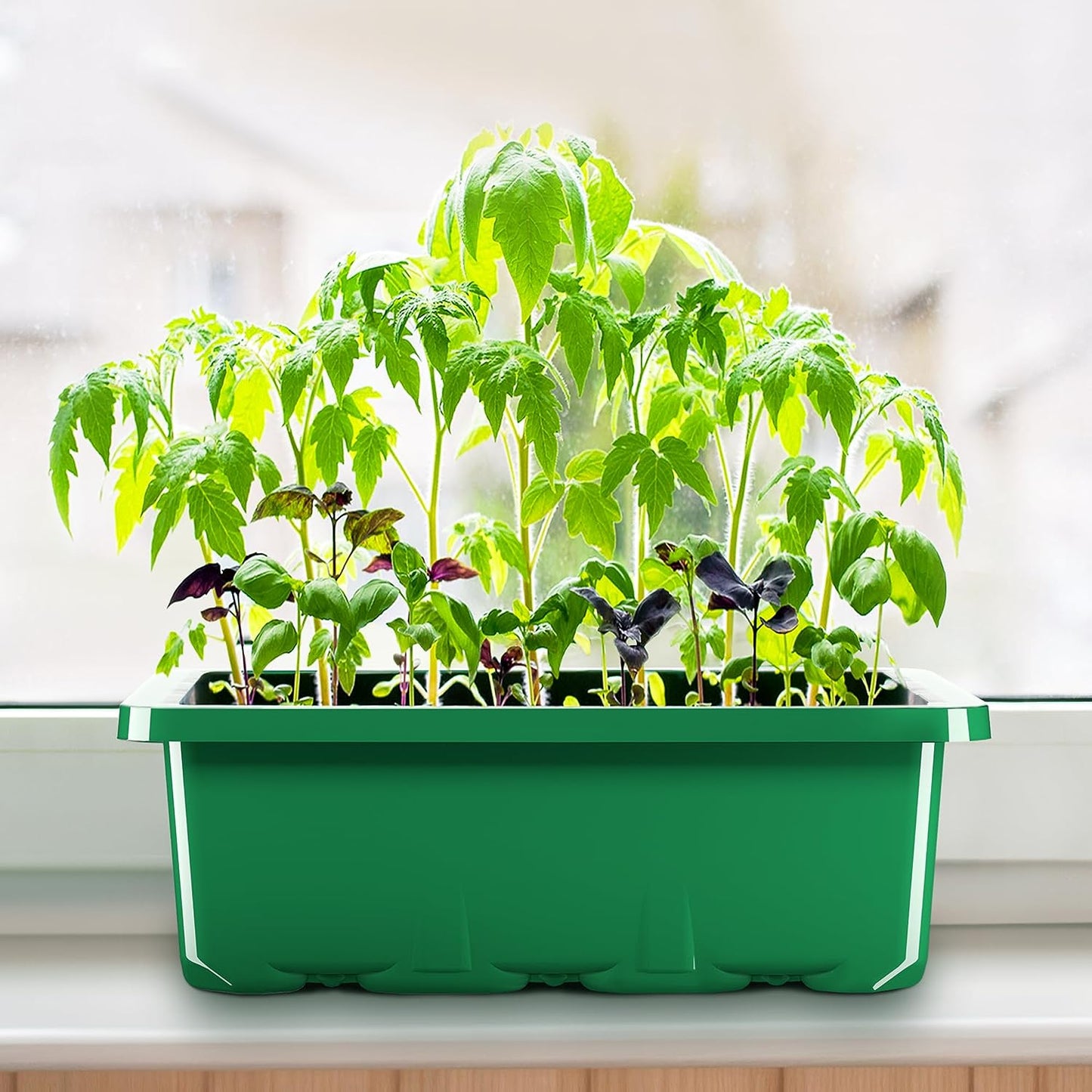 10 Packs Seed Starter with Humidity Dome (120 Cells Total Tray) Growing Starting Seed Starting Trays Plant Starter and Base Mini Greenhouse Germination Kit